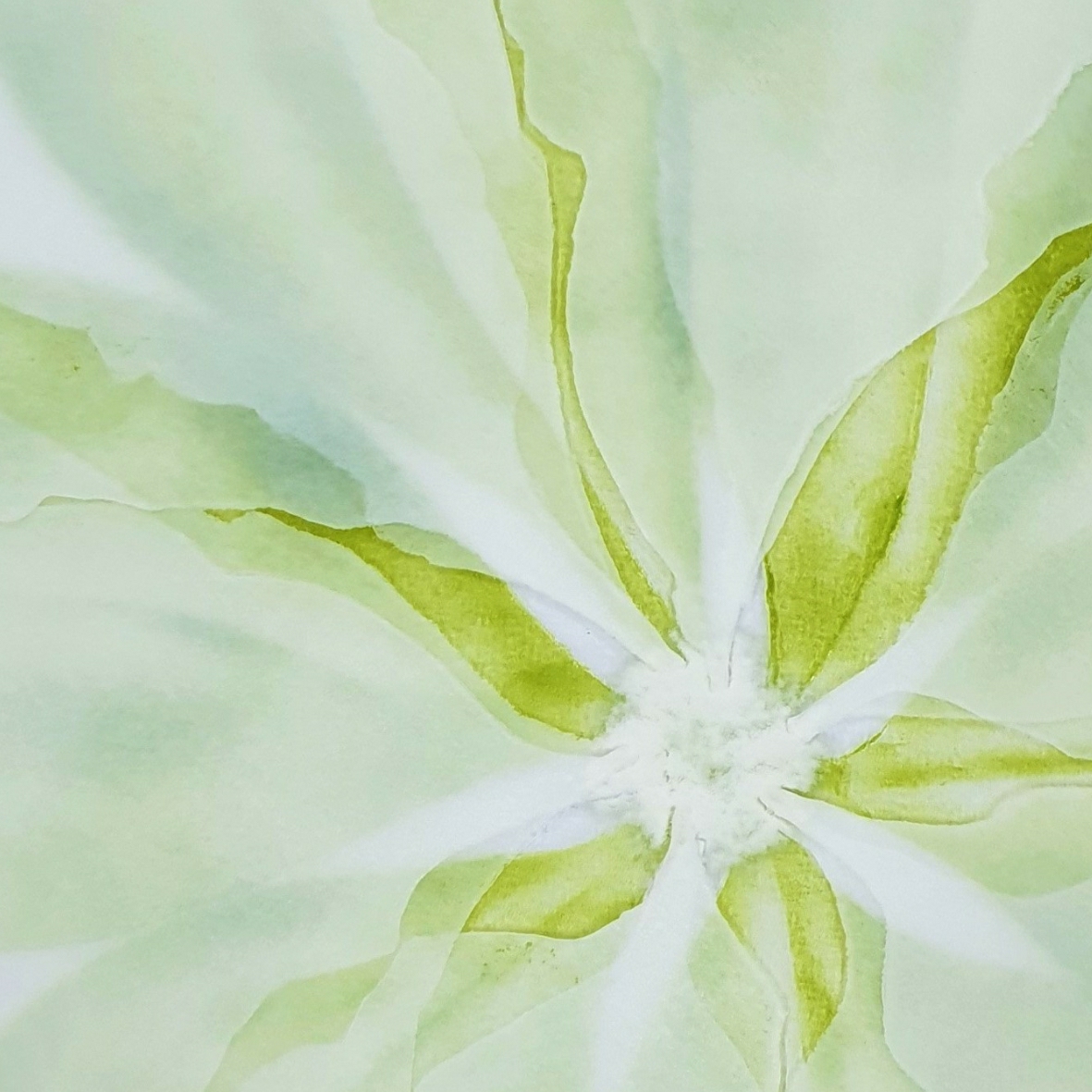 Feathered Glass pip stacey exochorda roundel