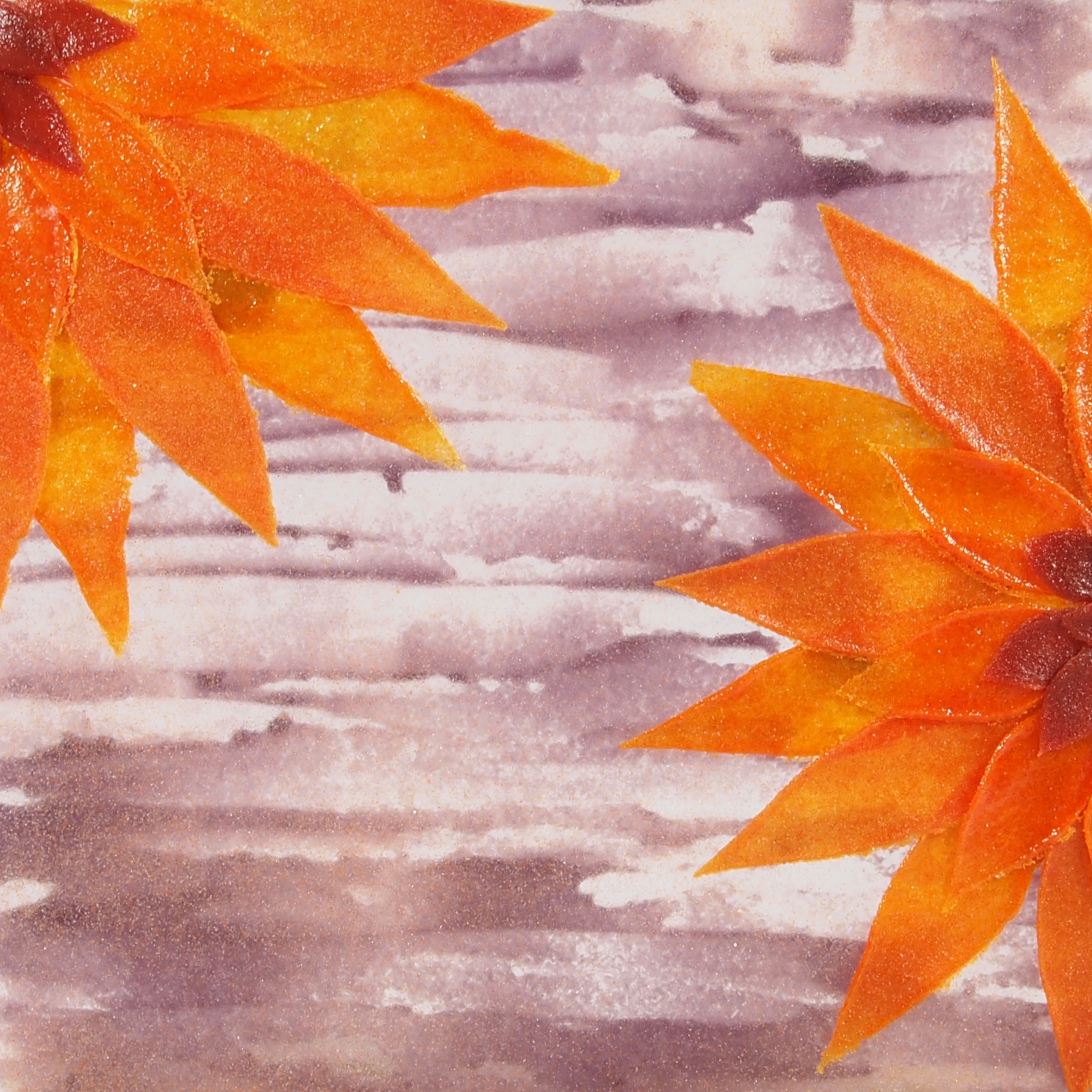 Feathered Glass dahlia